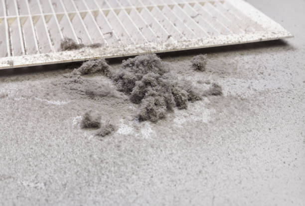 Best Affordable Duct Cleaning Services  in Sedalia, MO