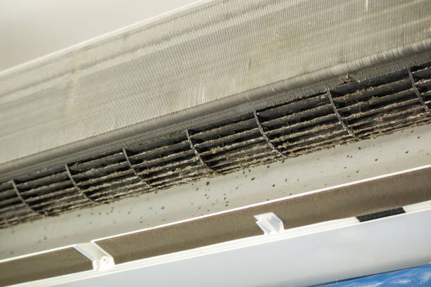 Best Affordable HVAC Duct Cleaning  in Sedalia, MO
